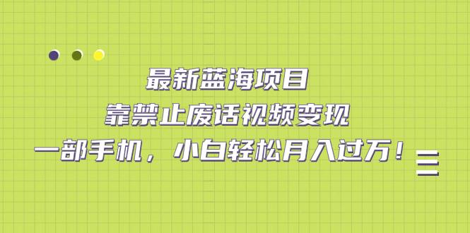 最新蓝海项目，靠禁止废话视频变现，一部手机，小白轻松月入过万！