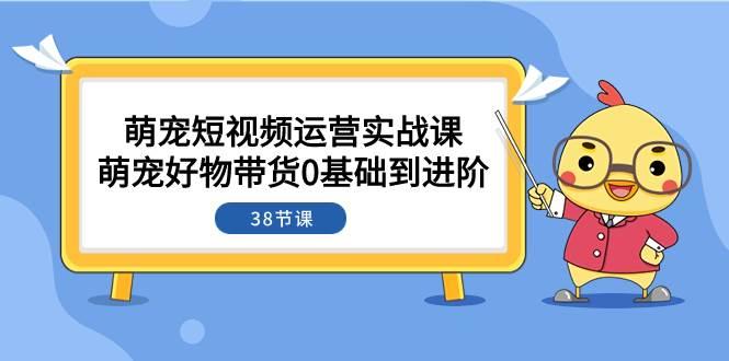 萌宠·短视频运营实战课：萌宠好物带货0基础到进阶（38节课）